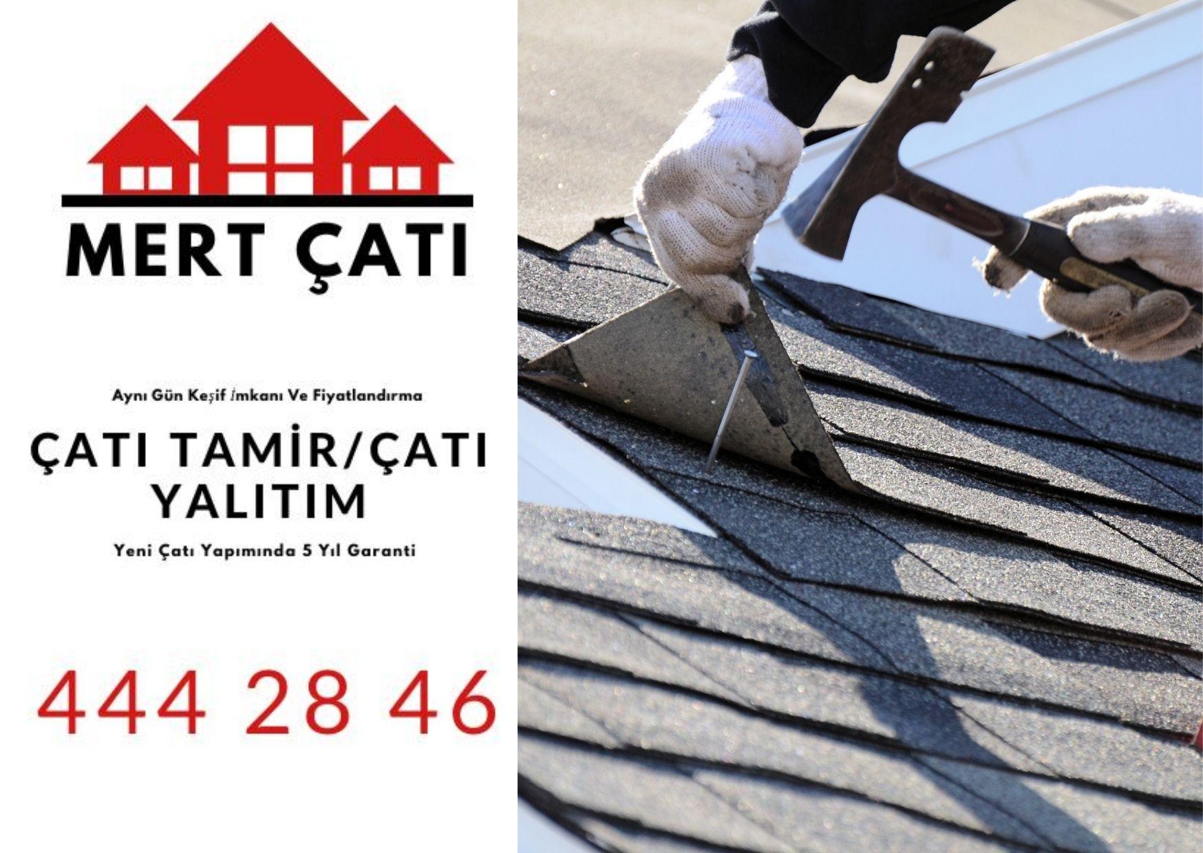 Çatı Ustası